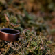 Image for article titled Oh Shit, People Actually Complimented Me On My Smart Ring
